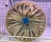 Filets d’anchois marinés au naturel - Produit