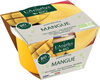 Sorbet plein fruit Mangue BIO - Product