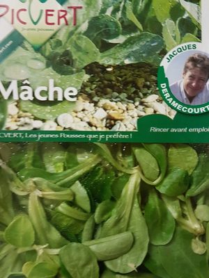 Mache picvert - Ingredients - fr