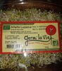 Alfalfa Luzerne - Produit