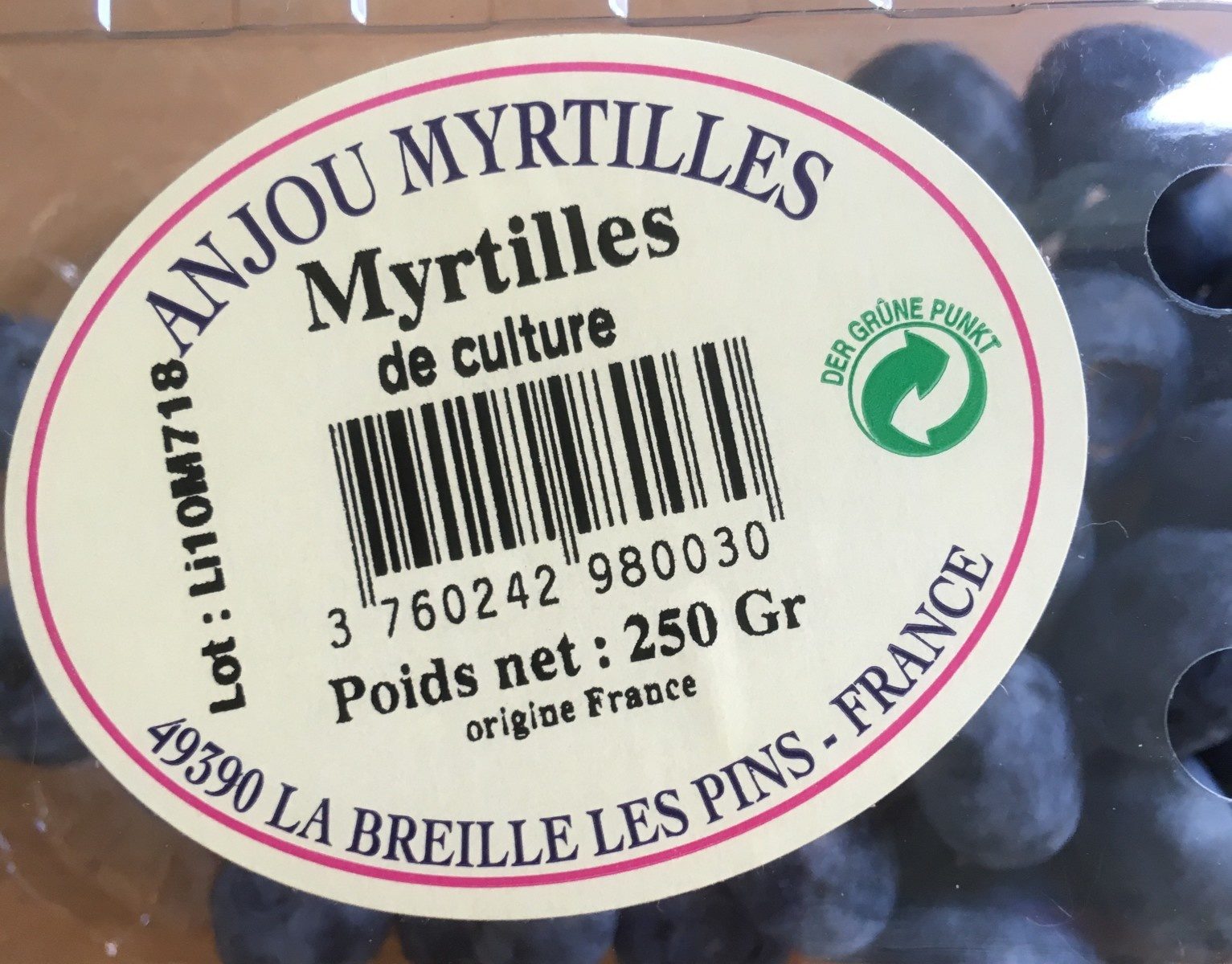 Myrtilles - Produit