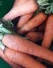 Carrotes - Produit