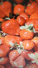 confiture de fraise du Burkina Faso - Product