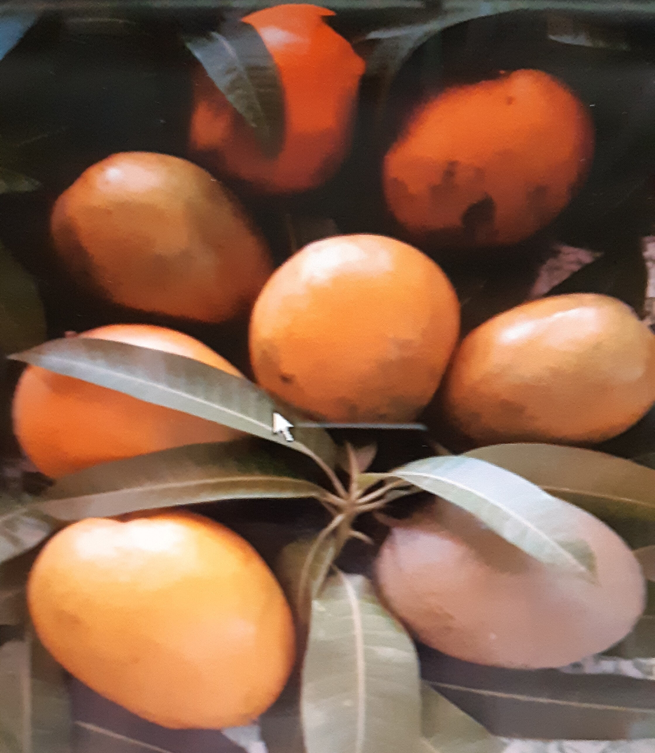 confiture de mangue du Burkina Faso - Product - fr