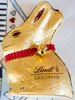 Gold Bunny - Producto