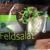 Feldsalat-Mix - Produkt