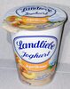 Joghurt - Aprikose - Produkt
