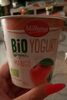 Bio yogurt organico mango - Prodotto