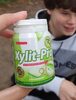 Xylit-pro Spearmint - Produkt