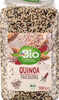 Quinoa Tricolore - نتاج