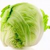 Green Cabbage - Product