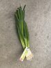 Spring Onions - Product