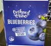 Frozen Blueberries - Produkt