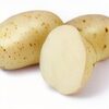 White Potato - Produit