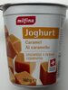 Yoghurt Caramel - نتاج
