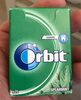 spearmint chewing gum - Product