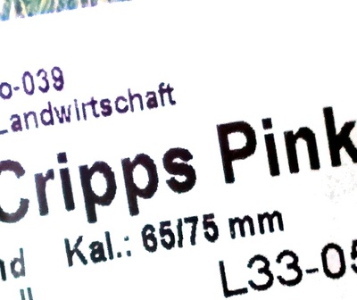Bio Äpfel Cripps Pink - Zutaten