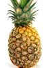 Tropical Golden Pineapple - Produit