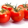 Red Cluster Tomatos on the Vine - Produkt