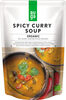 Spicy Curry Soup - Product