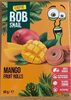 Mango Fruit Rolls - Produit