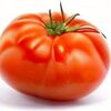 Red Hothouse Tomato - Produit