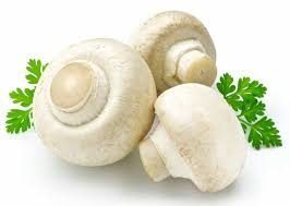 Mushroom - Product - ka