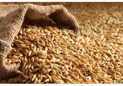 Wheat - Product - ka