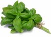 Basil Packaging - Product