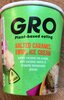 GRO Salted Caramel Swirl Ice Cream - Product