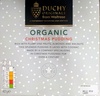 Organic Christmas Pudding - Product