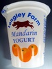 Longley farm mandarin yoghurt - Product