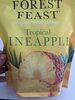 Tropical Dried Pineapple - Product