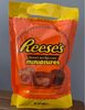Reese’s Peanut Butter Cups Minis - Product