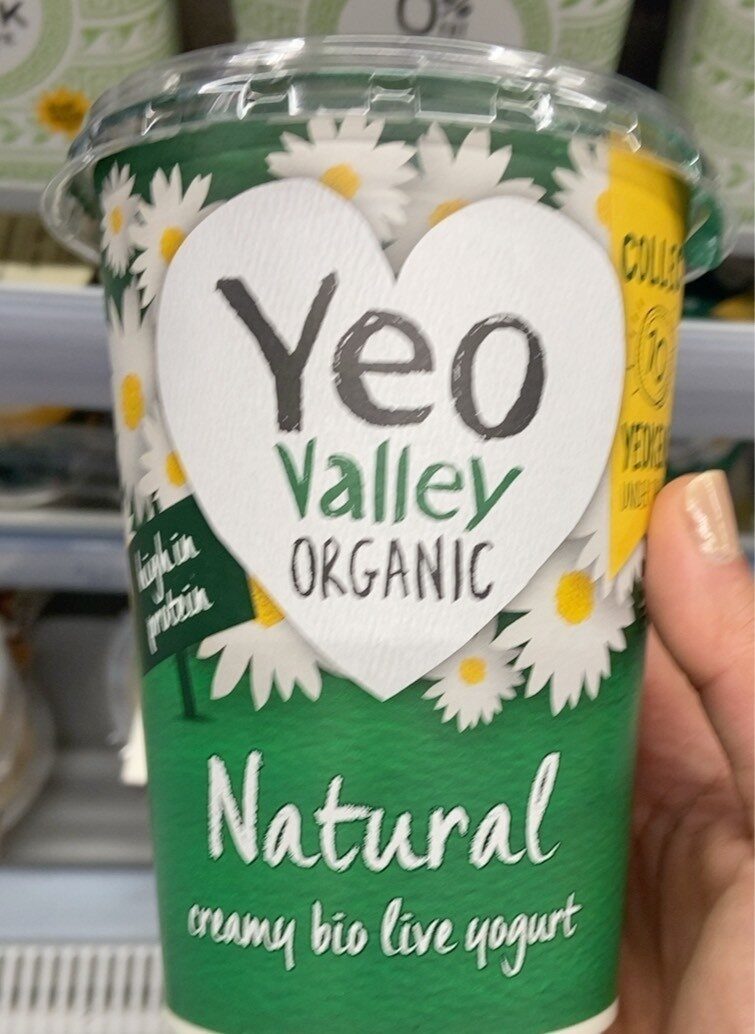 Organic Natural Yoghurt - Product