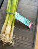 Frangrant Crunch Spring Onion - Producto