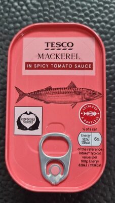 Mackerel in spicy tomato sauce - Product