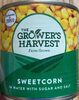 Sweetcorn in Water with Sugar and Salt - Producto
