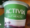 Gut health yogurt - Product