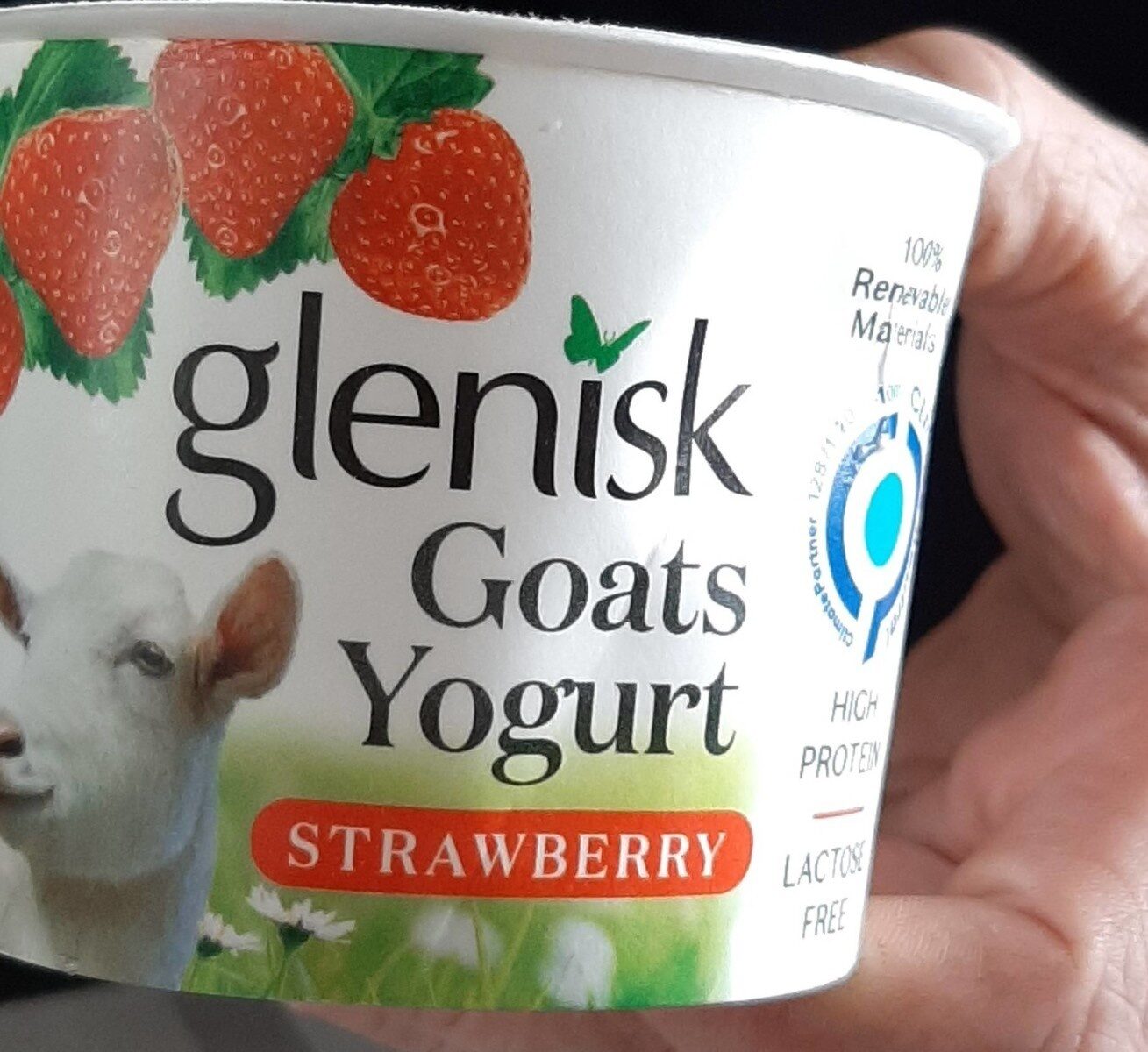 goats yoghurt - Product