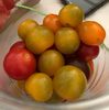 Mélange de tomates cerises - Produit