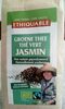 Thé vert jasmin - Product