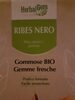 Ribes nero - Product