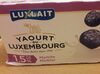 Yaourt aux myrtilles - Produit