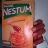 Nestum mel clássico flocos de cereais - Product