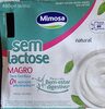 Iogurte Natural Batido Magro, Sem Lactose - نتاج