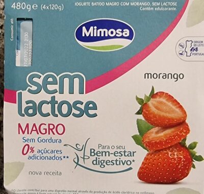 Iogurte Batido Magro Com Morango, Sem Lactose - نتاج - pt