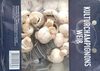 Mushrooms - Produit