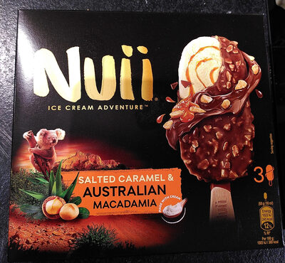Nuii Salted Caramel & Australian Macadamia Ice Cream - Product