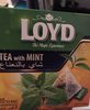 Loyd Tea With Mint 20 Tea Bags - Product